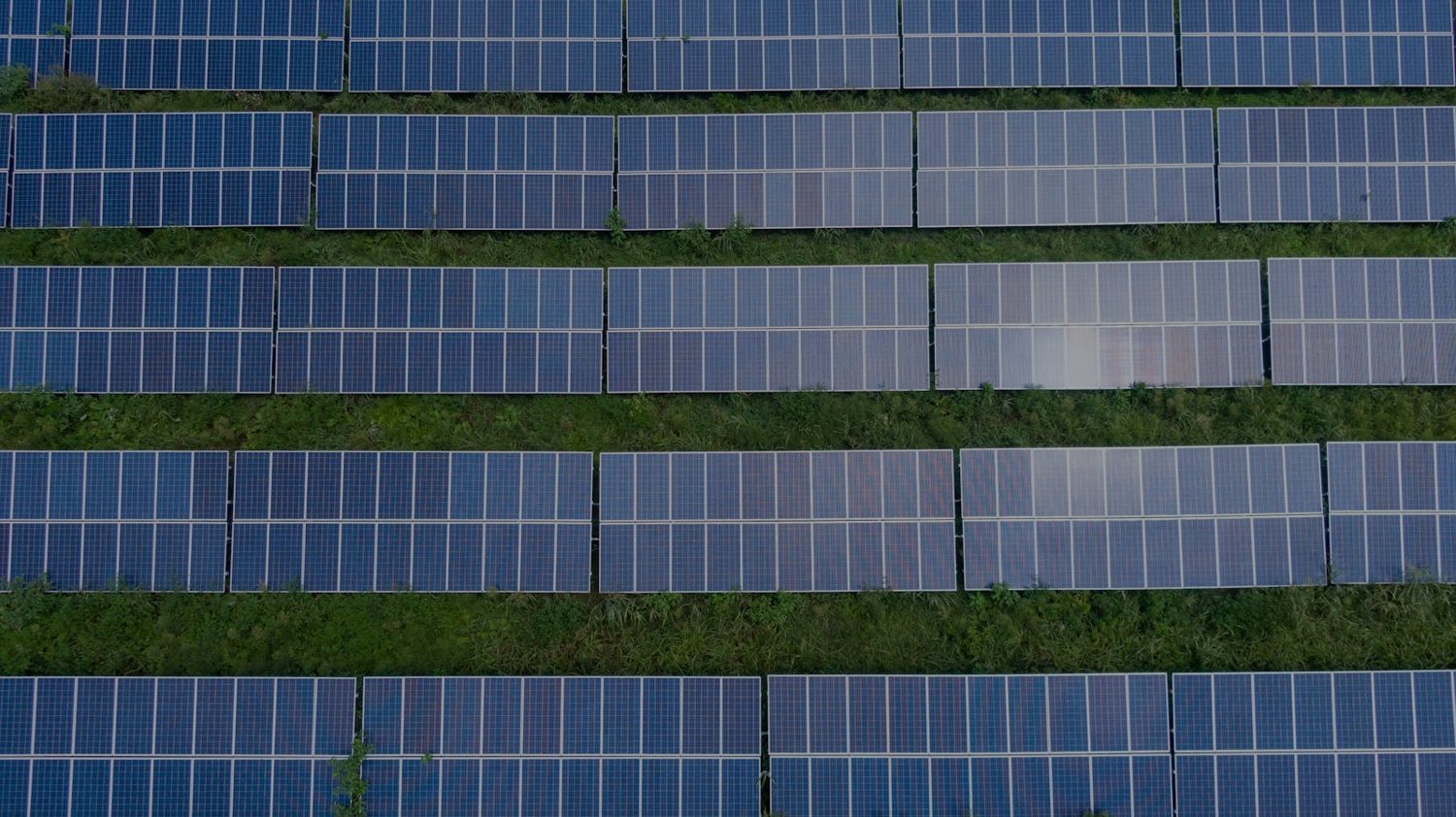 Top-down view of an AI-monitored solar array